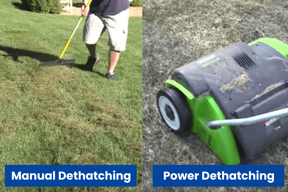 Best Time to Dethatch Lawn in Michigan