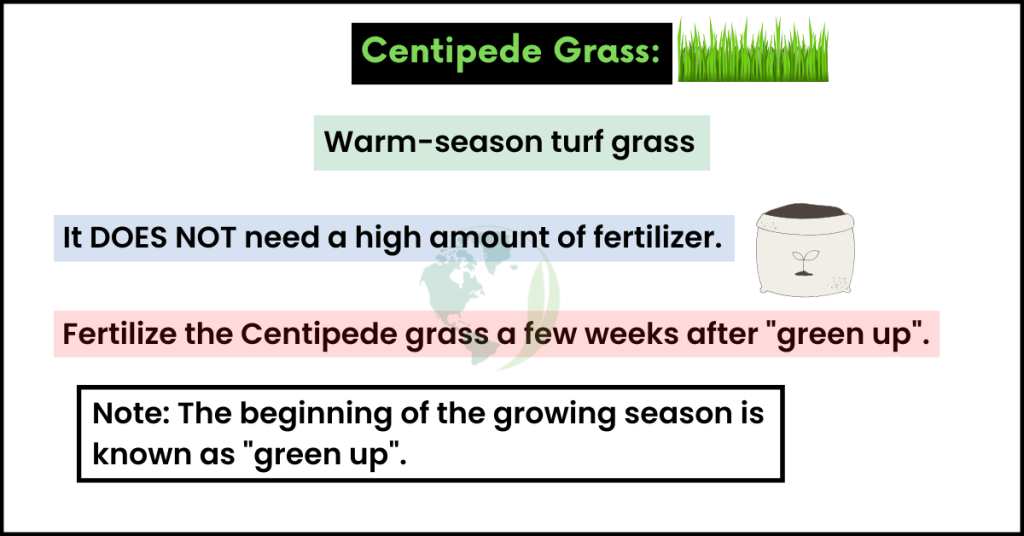 Centipede Grass in Florida 