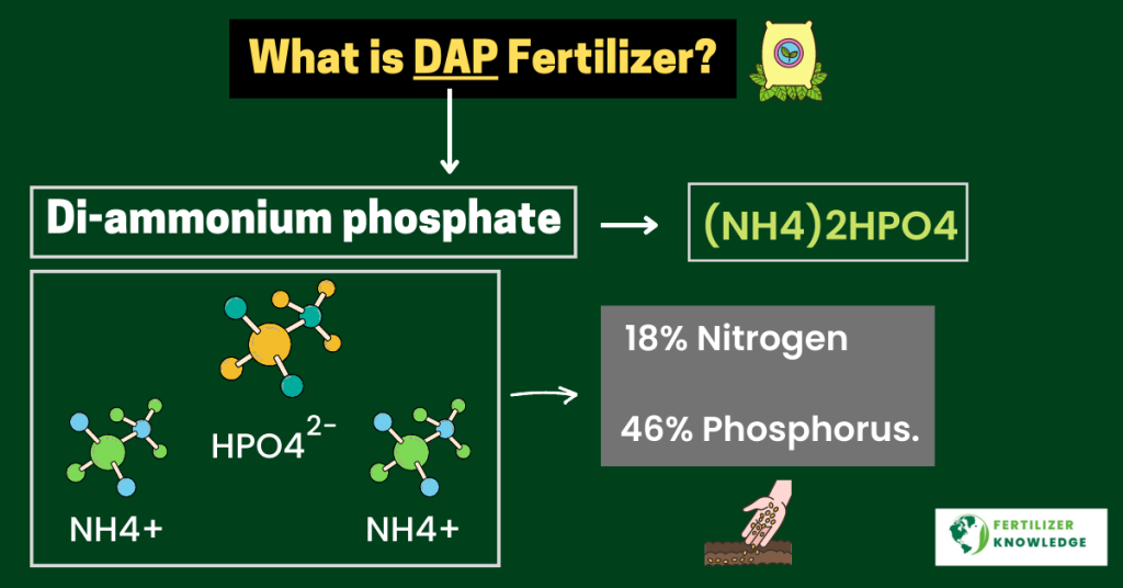 uses of dap fertilizer