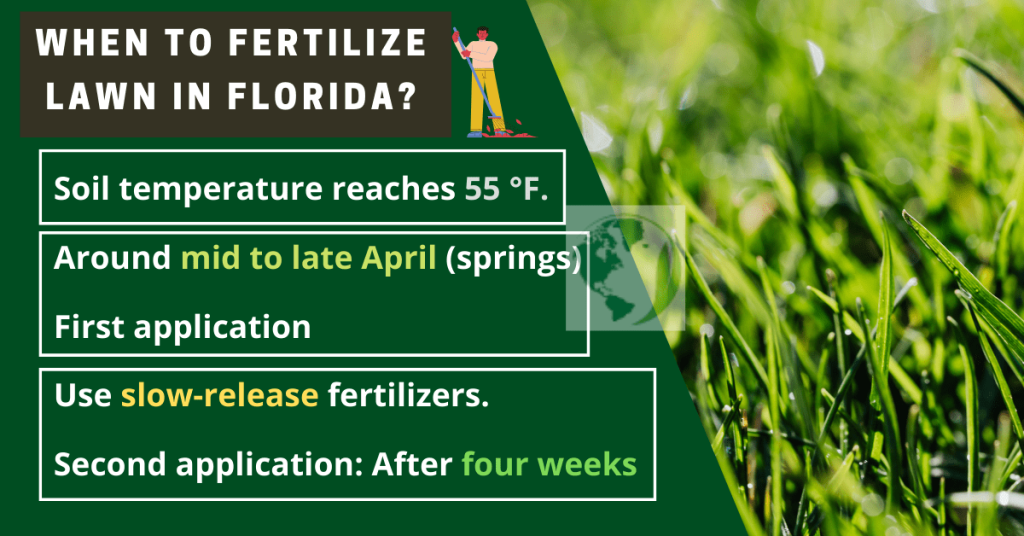 when to fertilize lawn in florida