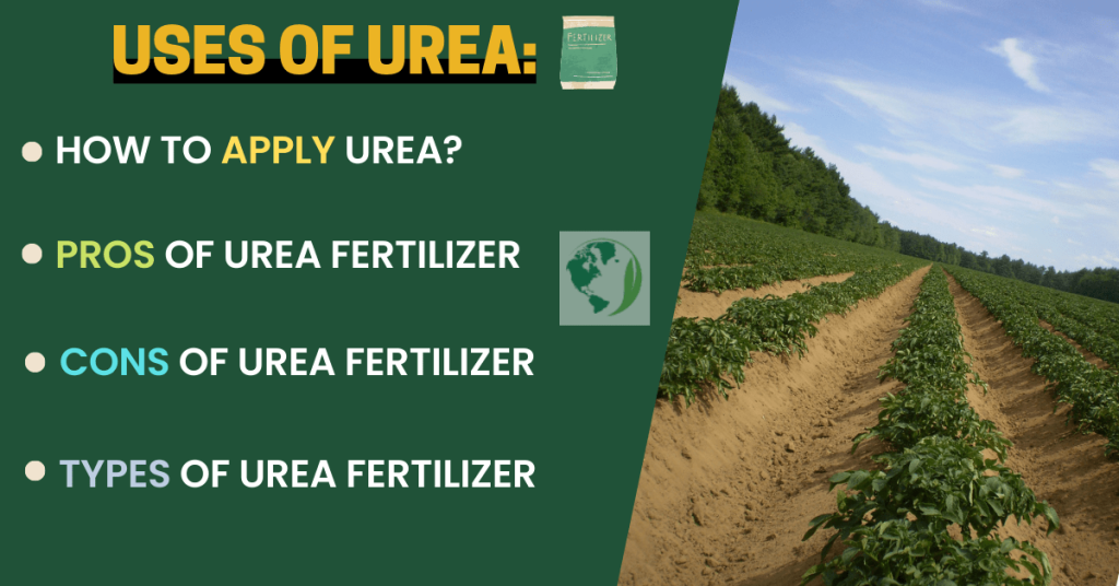 uses of urea fertilizer
