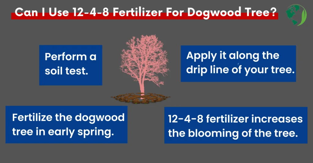 12-4-8 fertilizer for dogwood trees