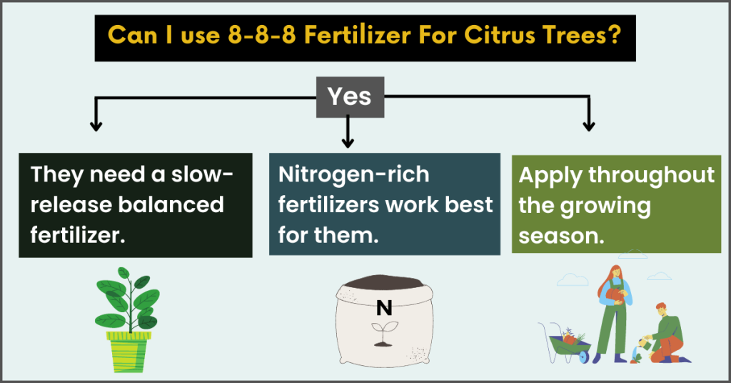 Can I use 8-8-8 Fertilizer For Citrus Trees?