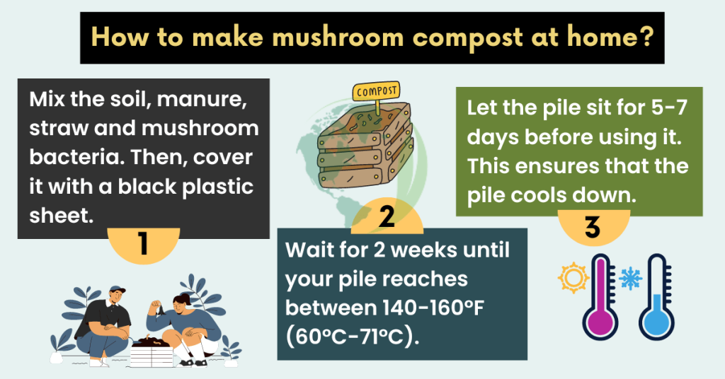 how to make mushroom compost for strawberries
