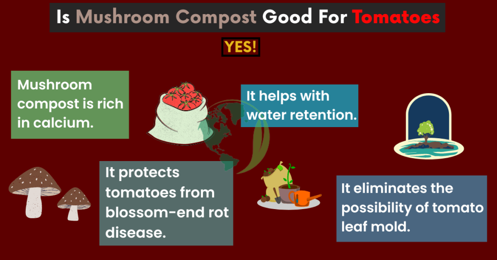 is mushroom compost good for tomatoes
