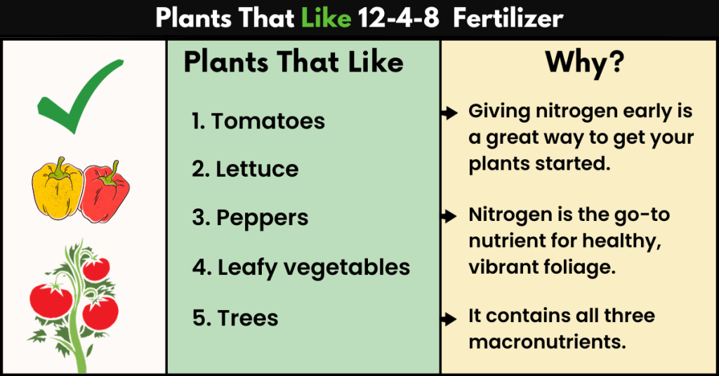 What is 12-4-8 Fertilizer Good For?