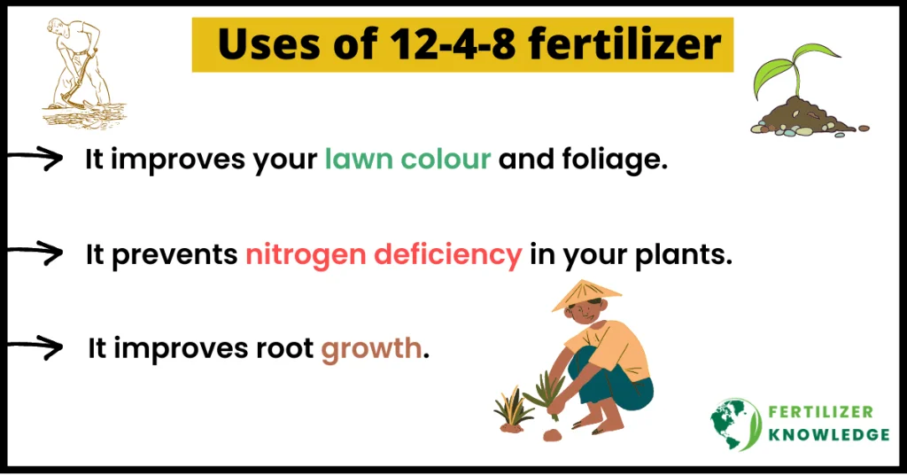 what is 12-4-8 fertilizer good for