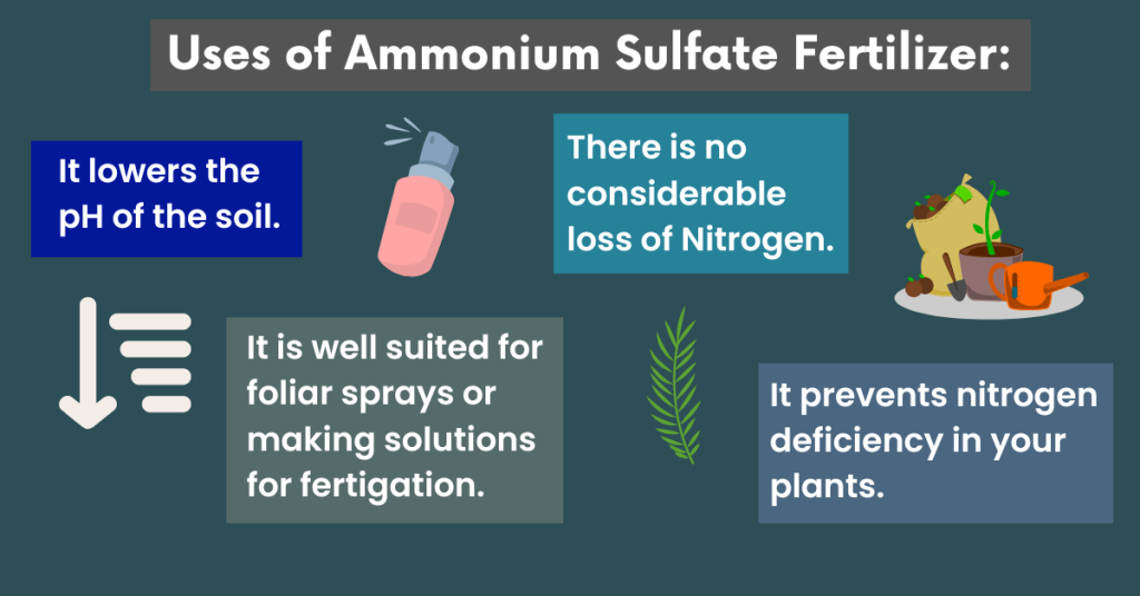 uses of ammonium sulfate fertilizer