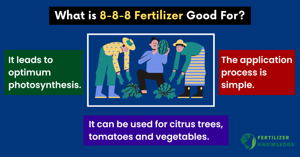 what is 8-8-8 Fertilizer good for?