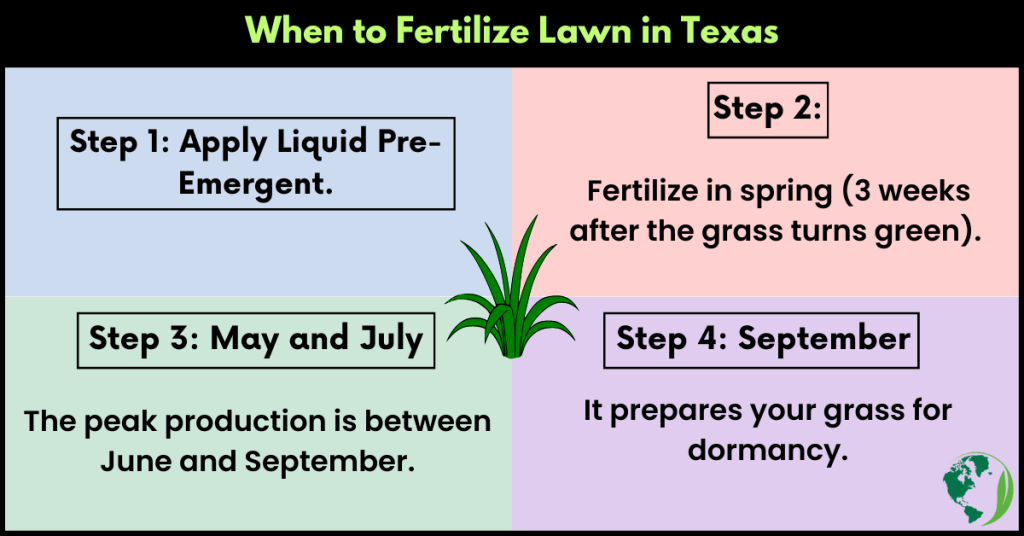 When to Fertilize Lawn in Texas