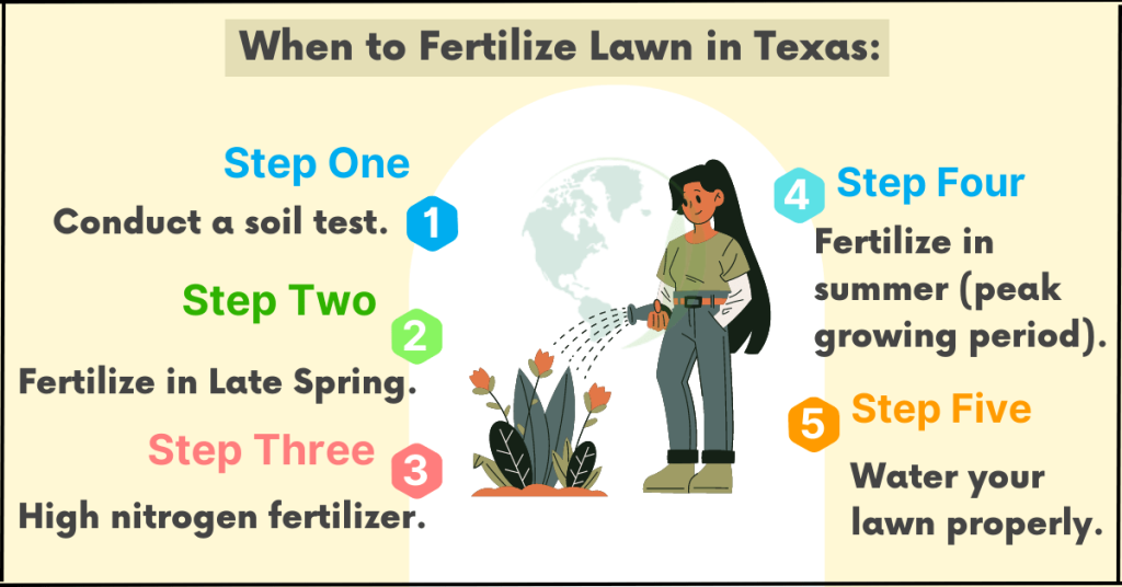 When to fertilize lawn in Texas