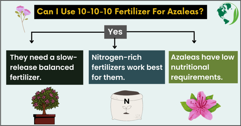 Can I use 10 10 10 fertilizer for azaleas
