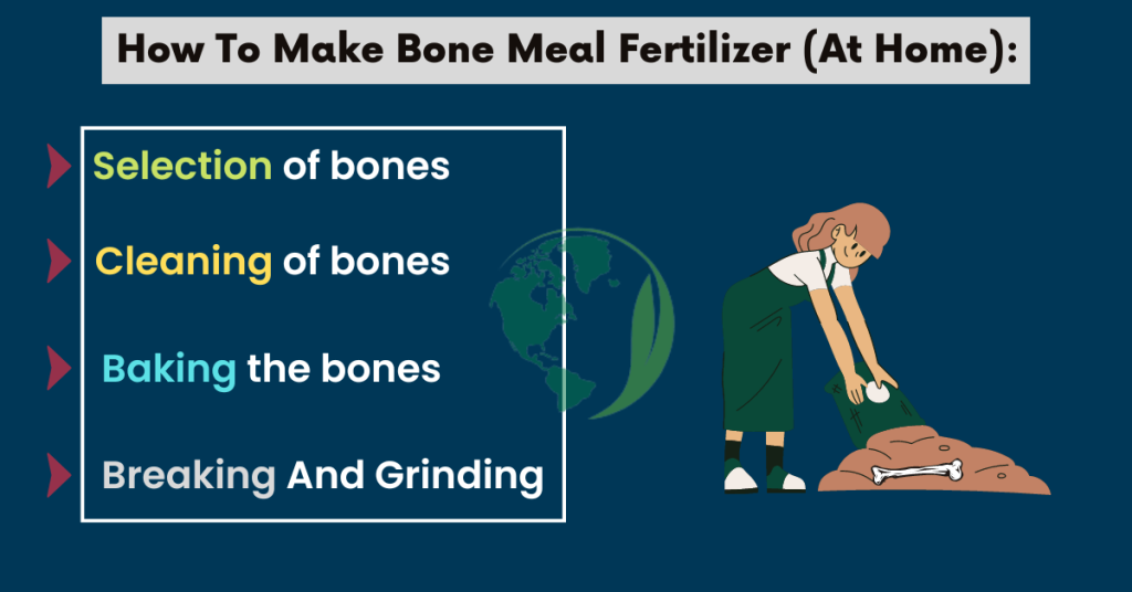 how to make bone meal fertilizer for peonies