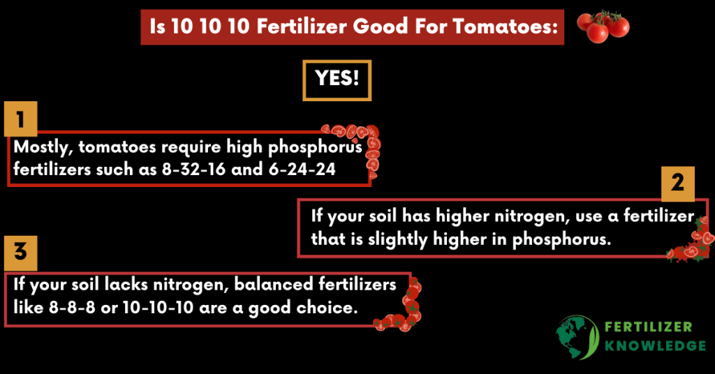 Is 10 10 10 Fertilizer Good For Tomatoes