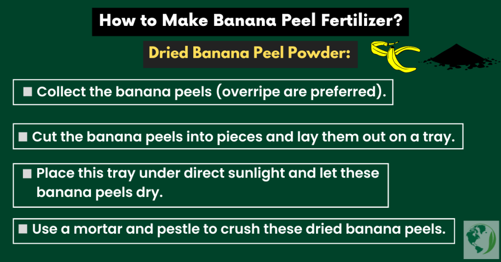 How to make powdered banana peel fertilizer