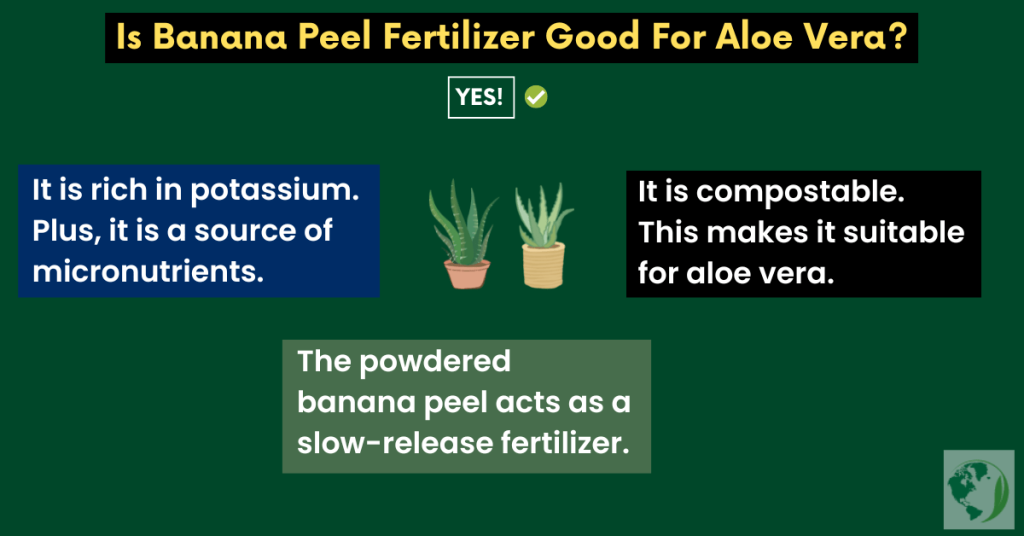 is banana peel fertilizer good for aloe vera?
