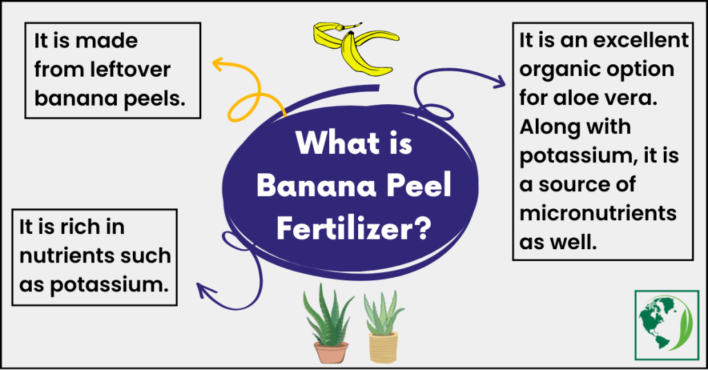banana peel fertilizer for aloe vera