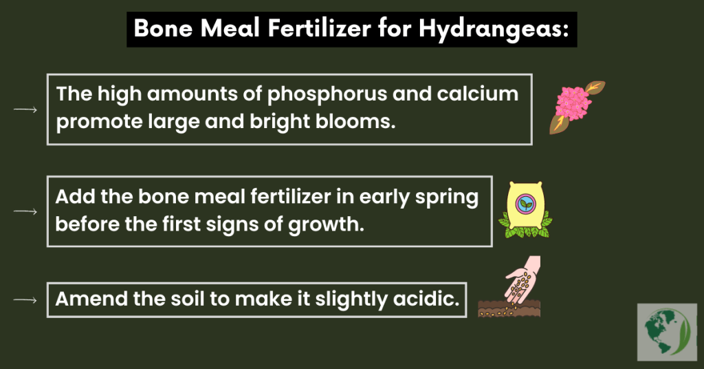 Bone Meal Fertilizer for Hydrangeas