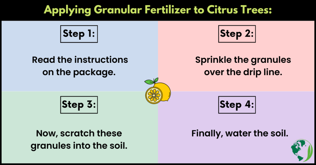How to fertilize citrus trees in California
