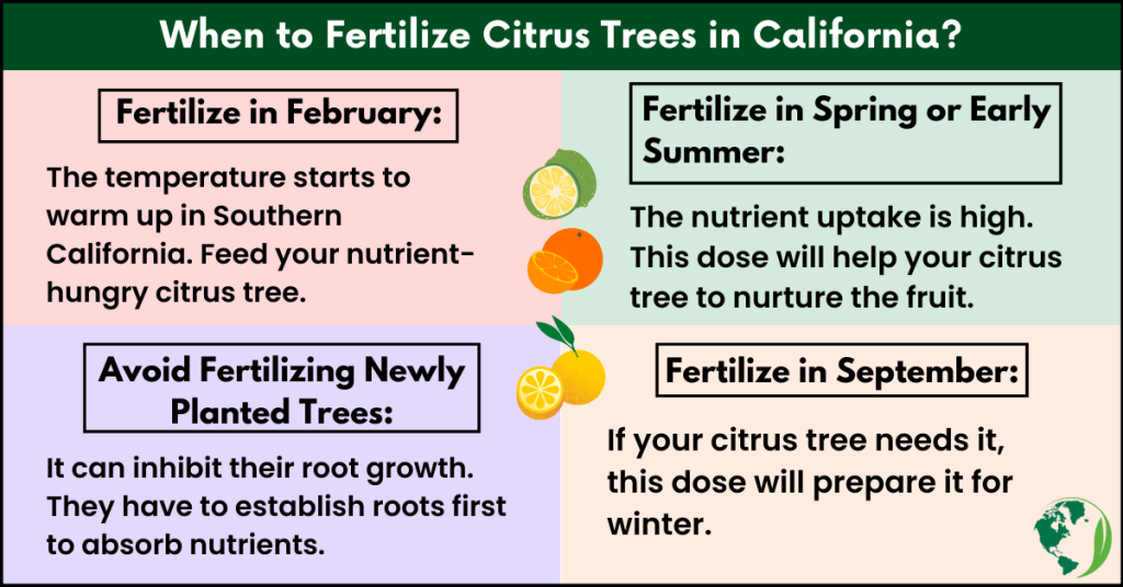 When to fertilize citrus trees in California?