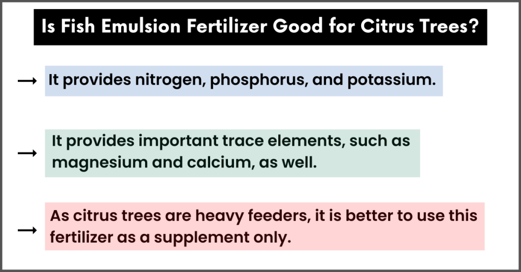 is fish fertilizer good for citrus trees?