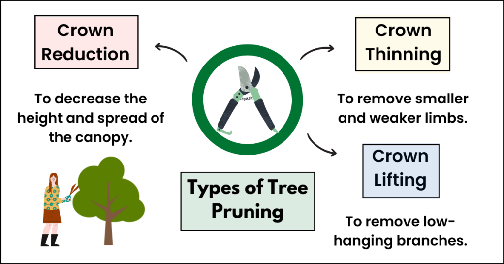 types of tree pruning