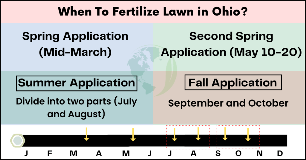 When to fertilize lawn in Ohio