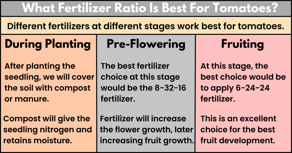 8-32-16 fertilizer for tomatoes