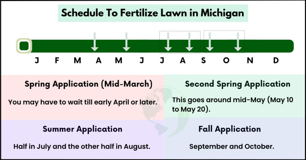 When to Fertilize Lawn in Michigan