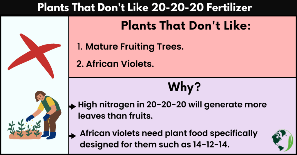 Plants That Don't Like 20-20-20 Fertilizer