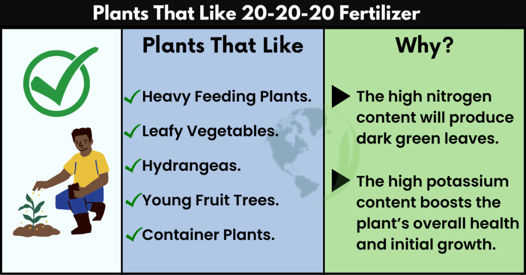 Plants That Like 20-20-20 Fertilizer