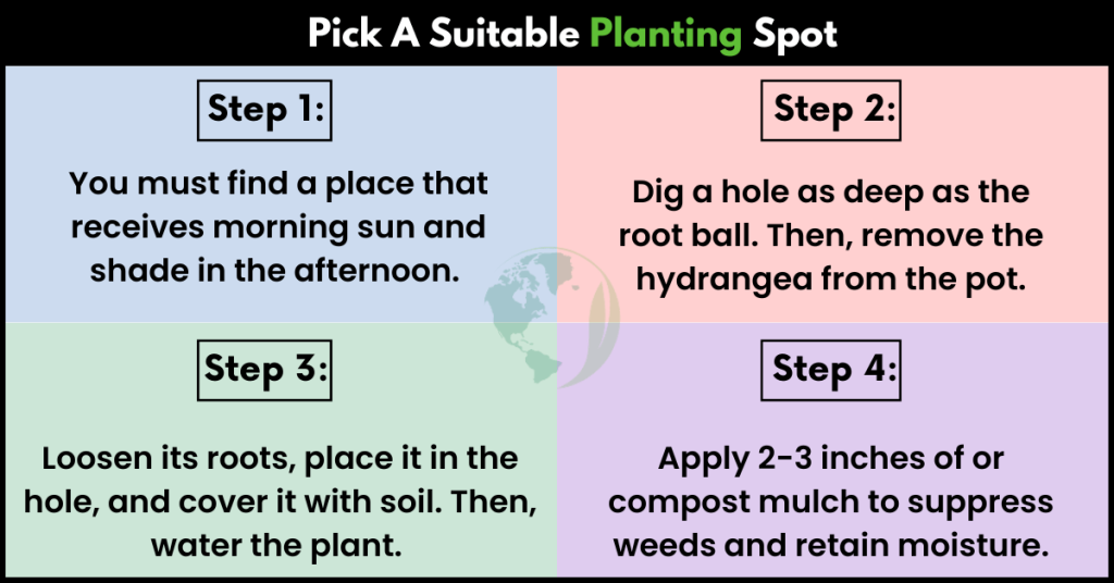 pick a suitable planting spot