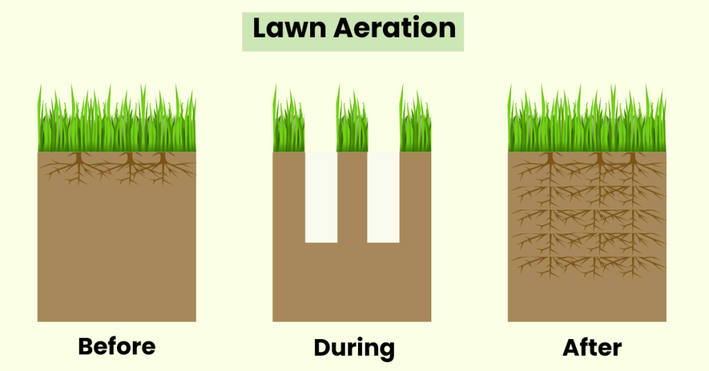 Best time to aerate lawn in Michigan