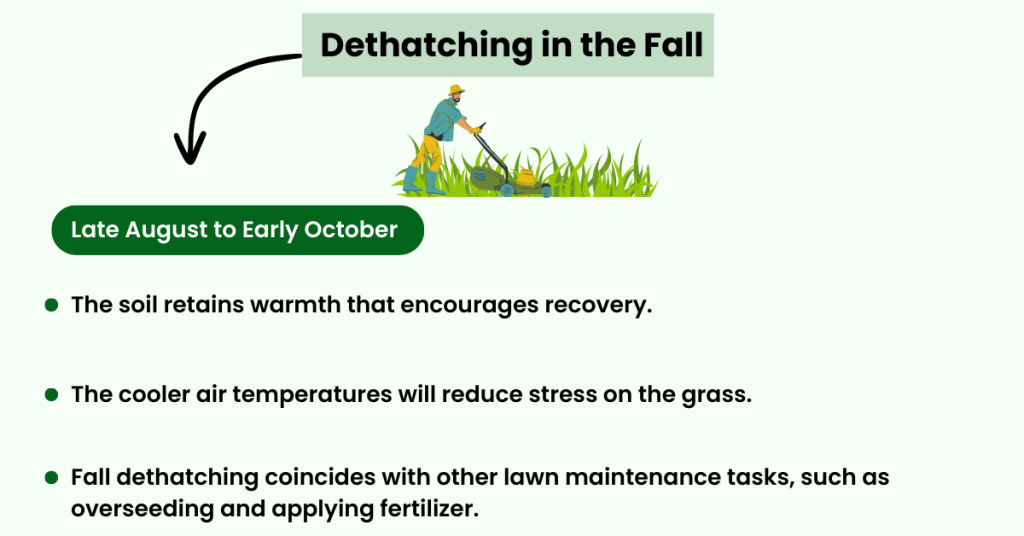 Best Time to Dethatch Lawn in Michigan (Fall)