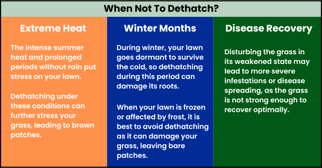 When Not To Dethatch lawn in Michigan